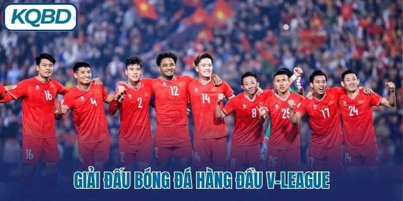 Giải đấu bóng đá hàng đầu V-League