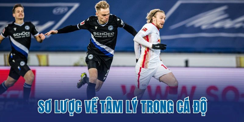 Sơ lược về tâm lý trong cá độ