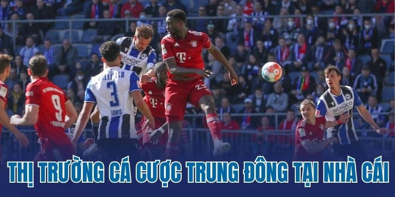 Thị trường cá cược Trung Đông tại nhà cái