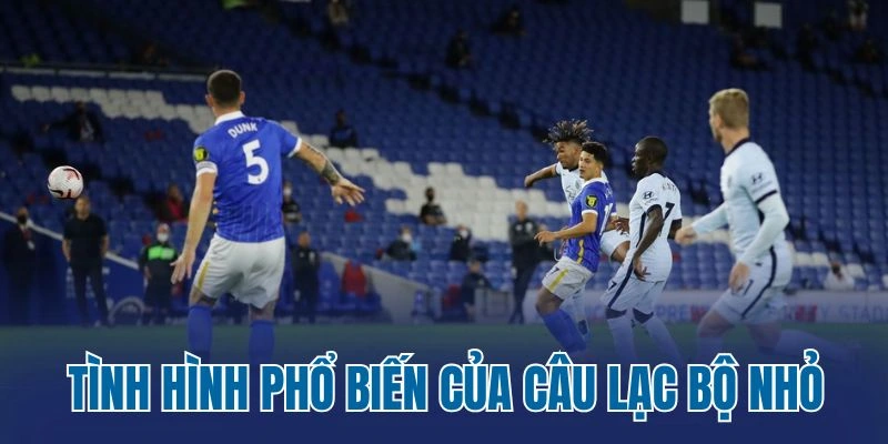 Tình hình phổ biến của câu lạc bộ nhỏ