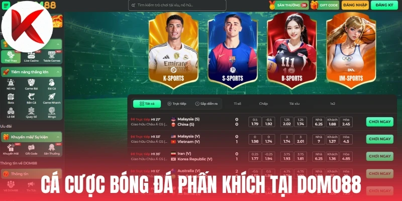 Cá cược bóng đá phấn khích tại Domo88