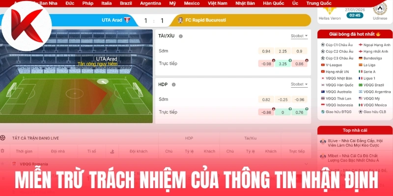 Miễn trừ trách nhiệm của thông tin nhận định