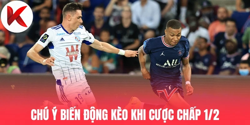 Chú ý biến động kèo khi cược chấp 1/2