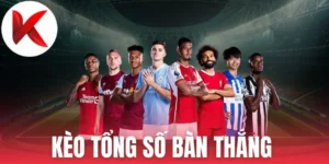 Phân tích dữ liệu hai đội trước khi vào tiền