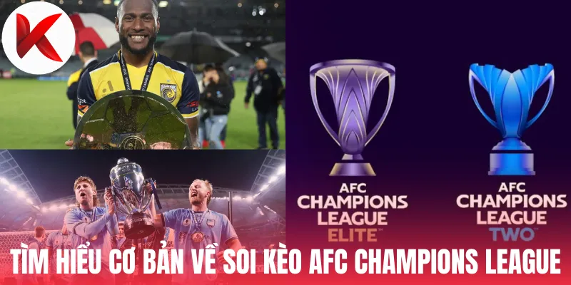 Tìm hiểu cơ bản về soi kèo AFC Champions League