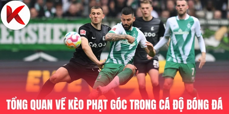 Tổng quan về kèo phạt góc trong cá độ bóng đá