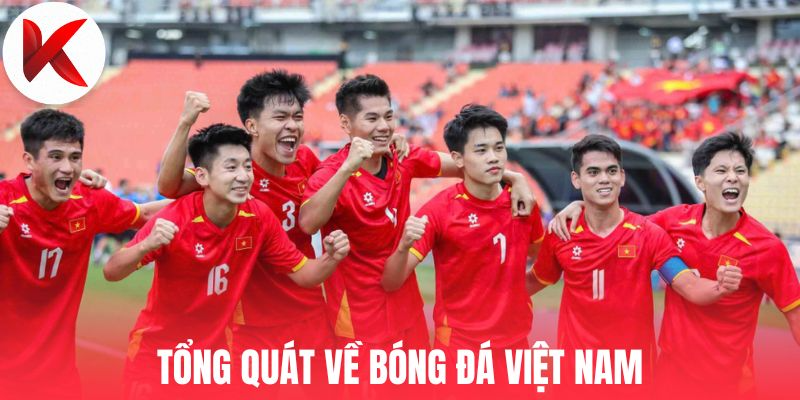 Tổng quát về bóng đá Việt Nam