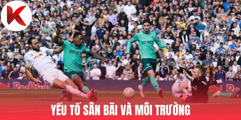 Yếu tố sân bãi và môi trường